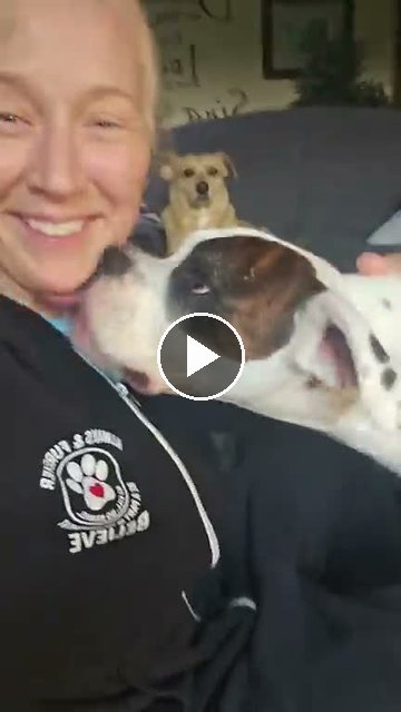 video — Aug 7 2026