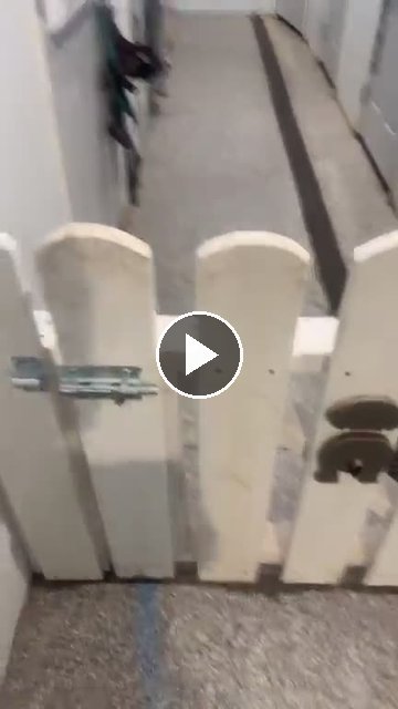 video — Aug 25 2026