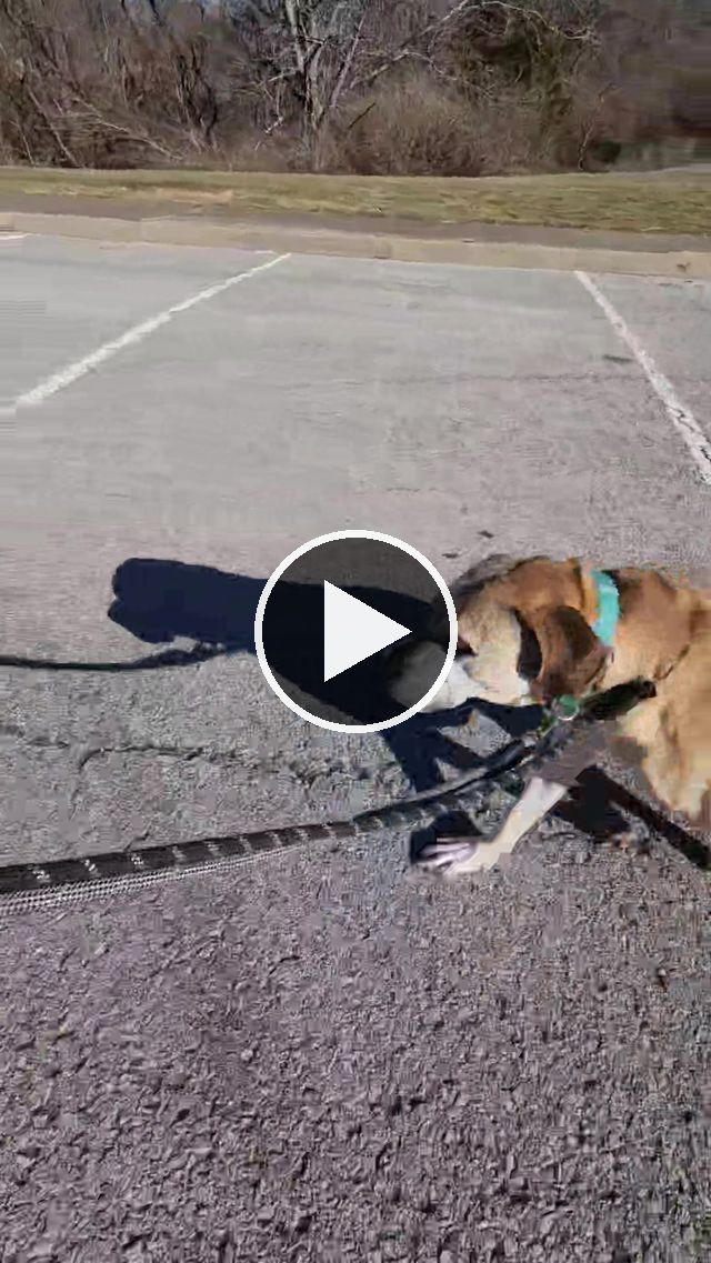 video — Dec 10 2022