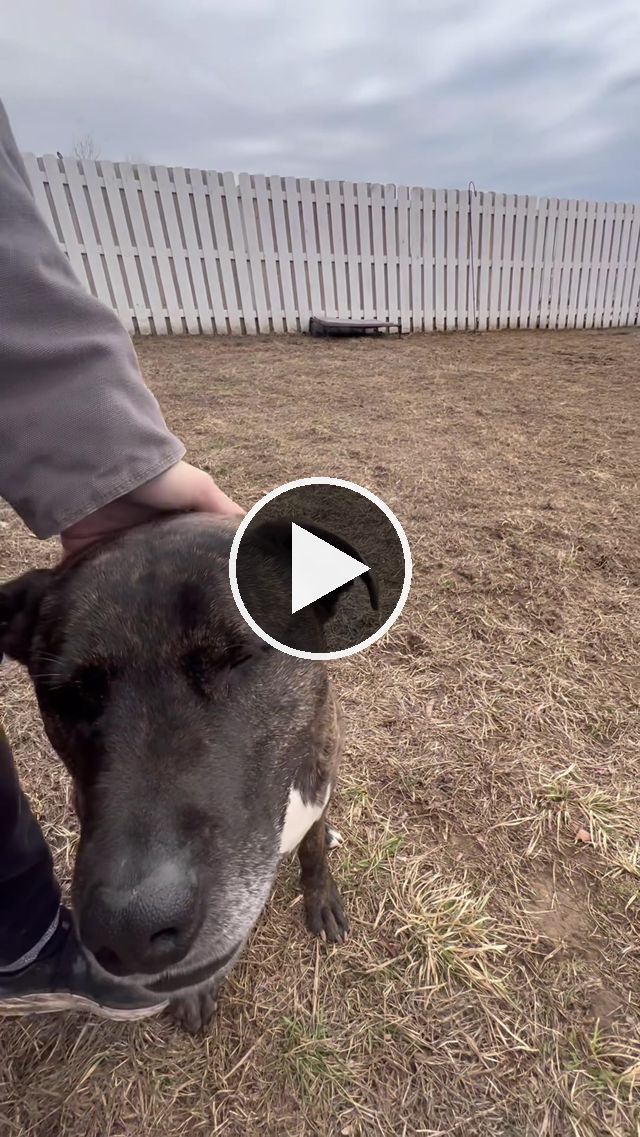 video — Jan 1–7 2023