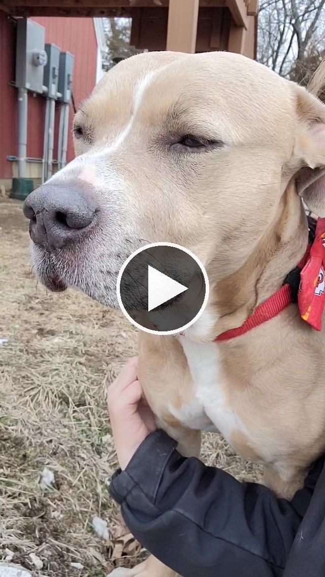 video — Feb 4 2023