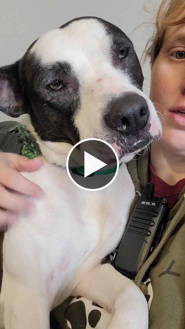 video — Mar 12–15 2023