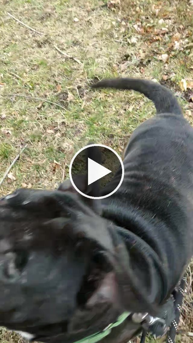 video — Mar 12–15 2023
