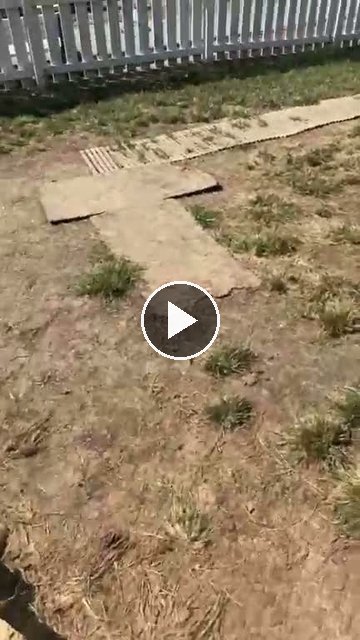video — Sep 19 2026