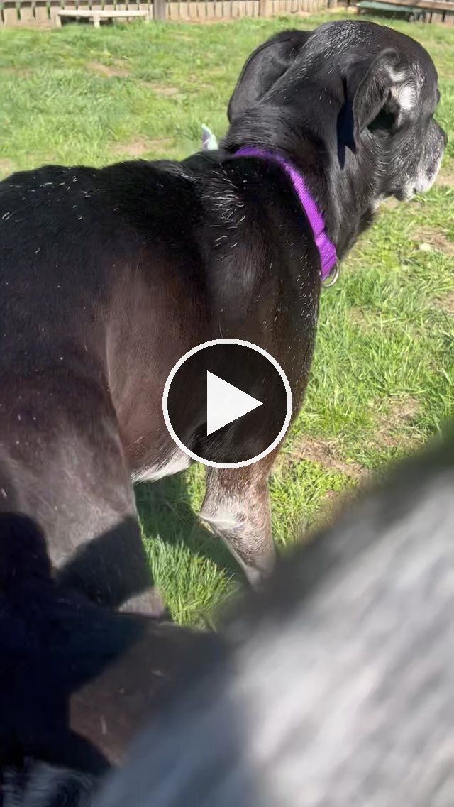 video — Apr 20–23 2023