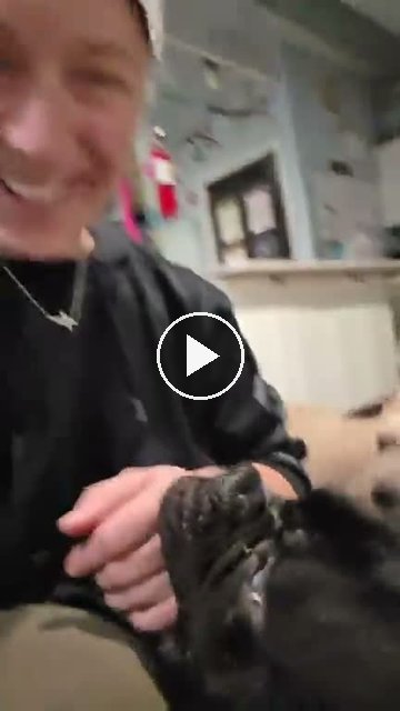 video — Sep 7 2026