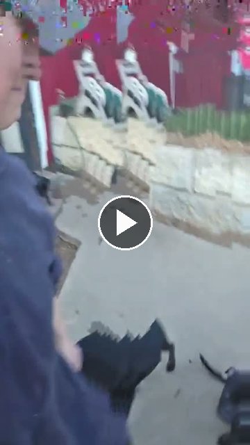 video — Sep 15 2026