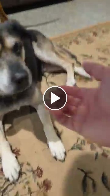 video — Sep 27 2026