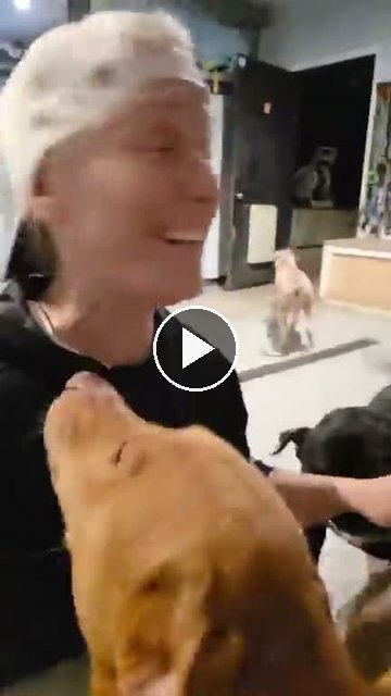 video — Sep 2 2026