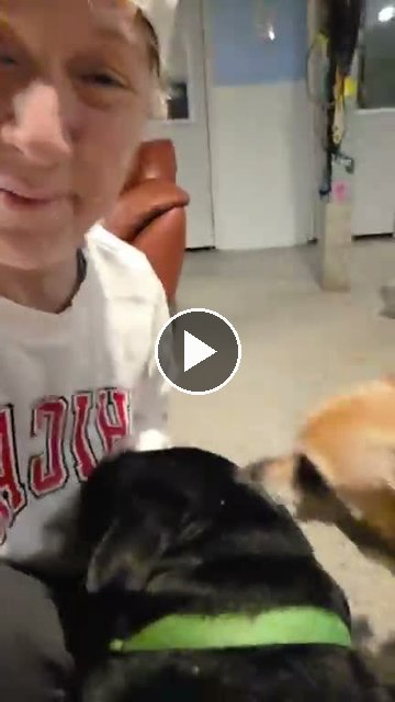 video — Sep 29 2026