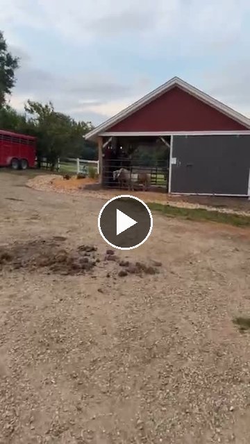 video — Aug 16 2026