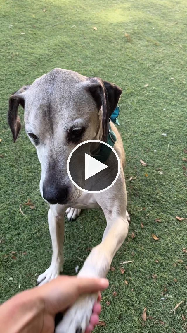 video — Aug 28–31 2023
