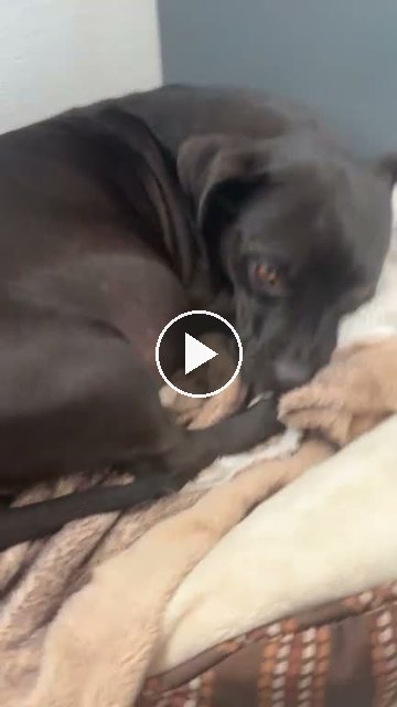 video — Sep 6 2026