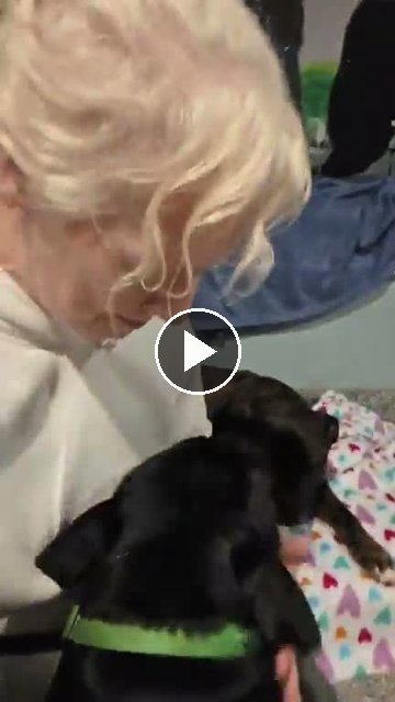 video — Sep 26 2026