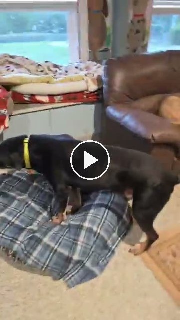 video — Sep 14 2026