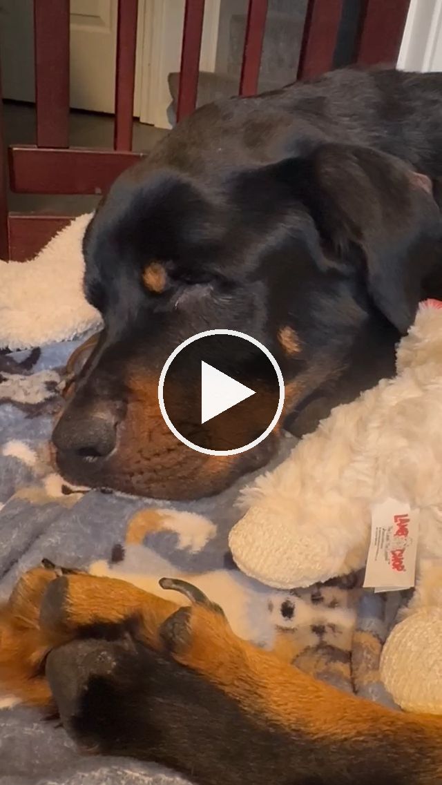 video — Sep–Dec 2024