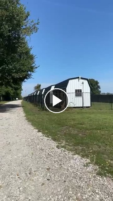 video — Sep 16 2026