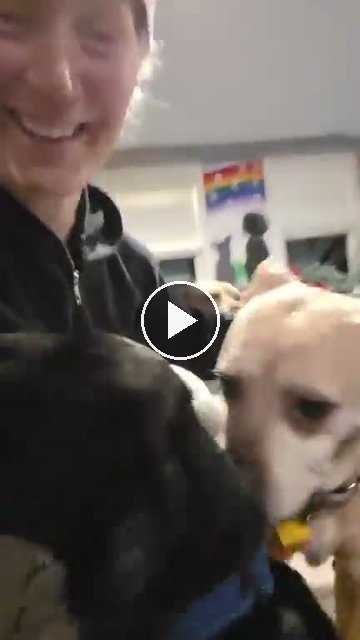 video — Sep 13 2026